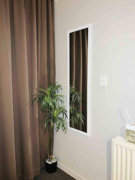 Cosy Motel Studio Apartment In Central City-Up To 2 Beds Christchurch Exterior photo